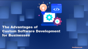 The Advantages of Custom Software Development for Businesses