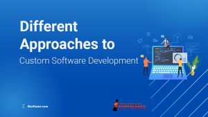Different Approaches to Custom Software Development